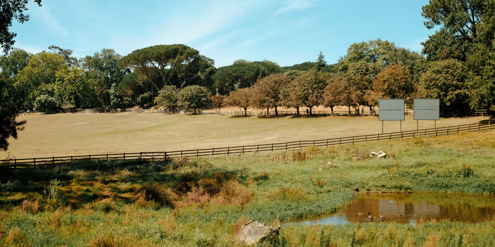 https://unsplash.com/photos/green-grass-field-near-green-trees-under-blue-sky-during-daytime-30wagXe3MFQ