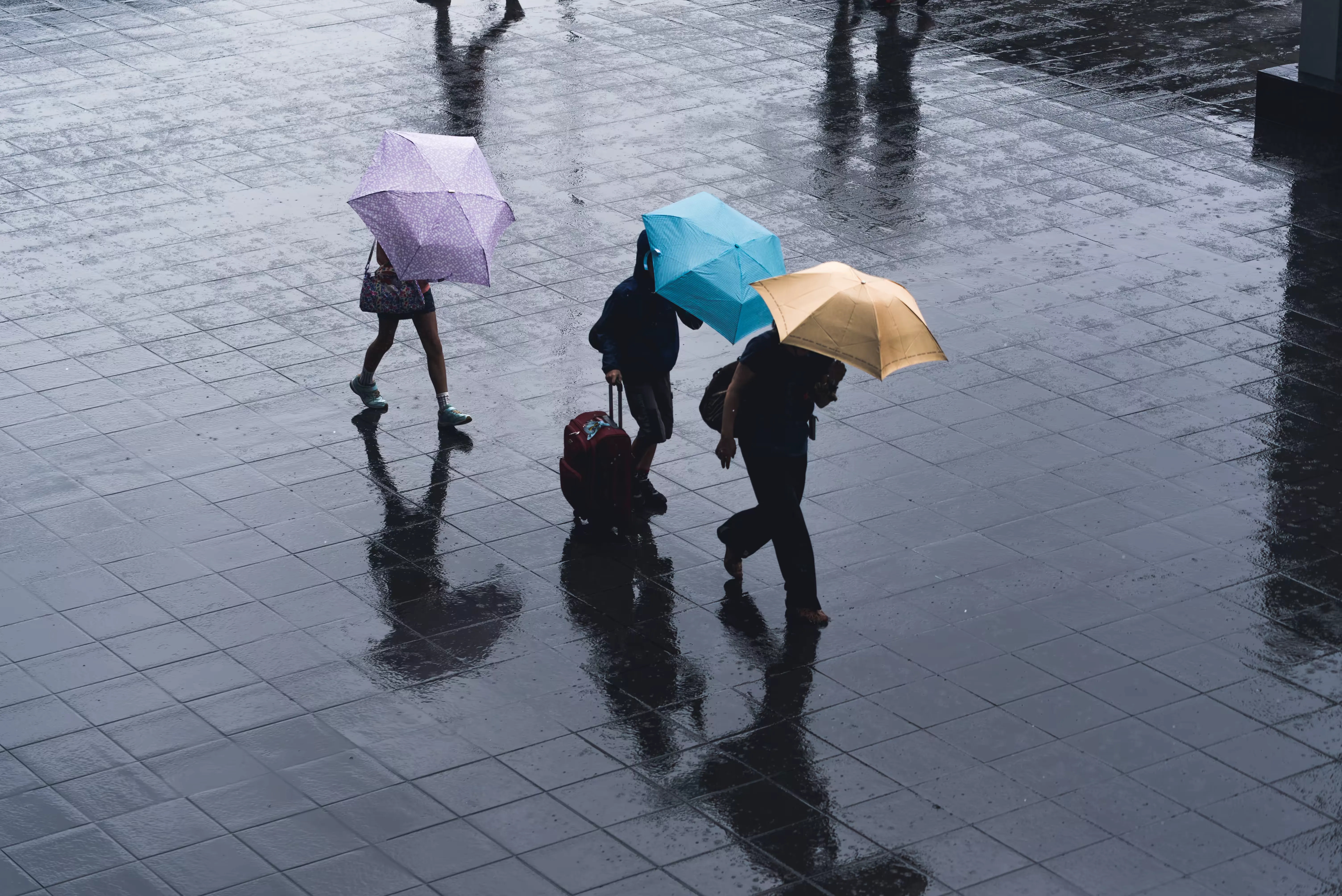 https://unsplash.com/photos/selective-color-photography-of-three-person-holding-umbrellas-under-the-rain-IeV07y5UK3k